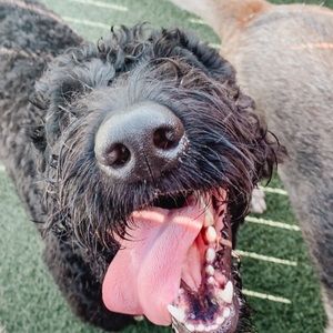 Meet your Posher, Jeff